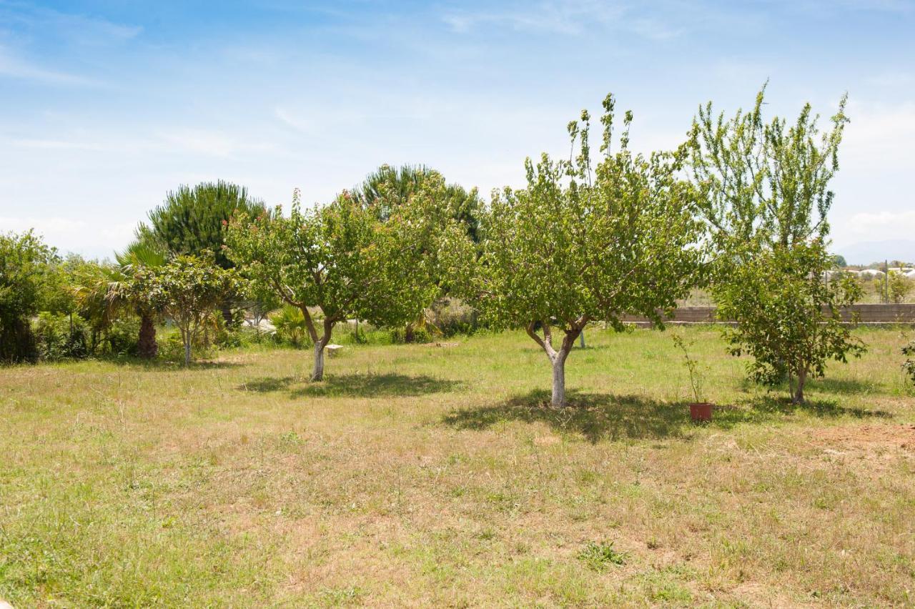 Olives Estate Apartments Grande Preveza Ngoại thất bức ảnh