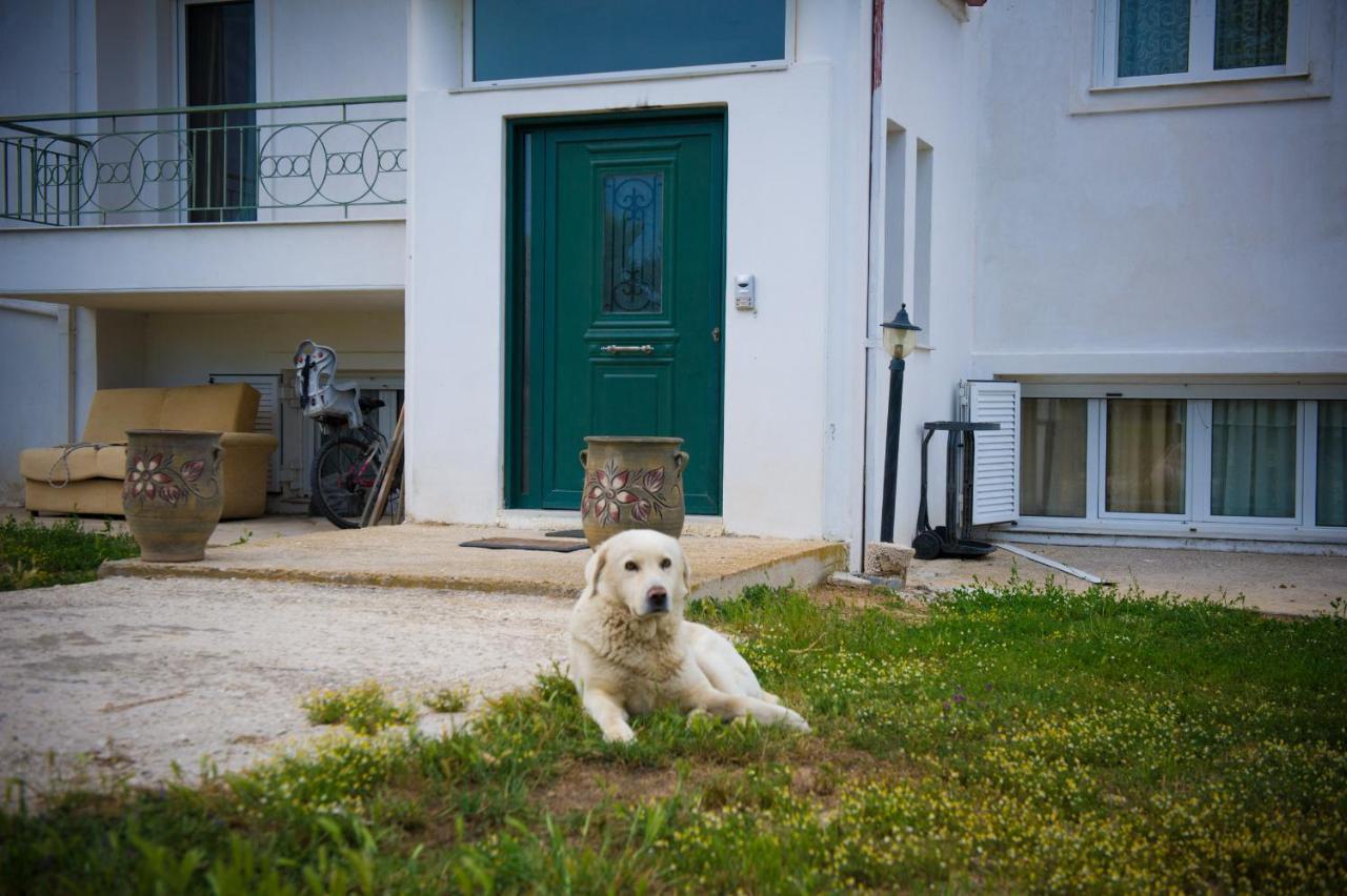 Olives Estate Apartments Grande Preveza Ngoại thất bức ảnh